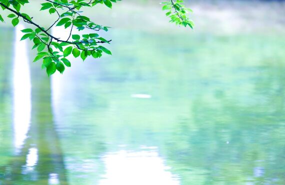 綺麗に痩せるダイエットなら愛知のサロンへ